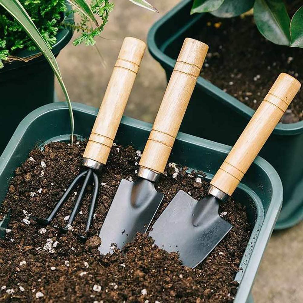 GreenGrow Planting Kit