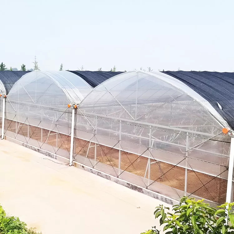 Arc-Protect Greenhouse