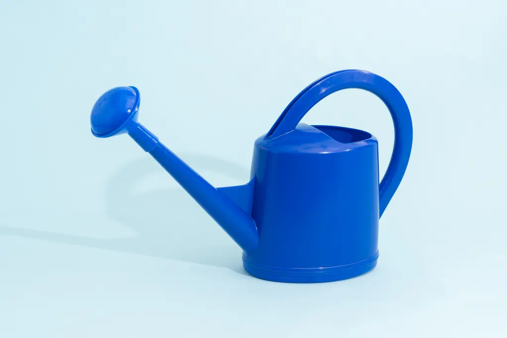 BlossomEase 3-liter watering can